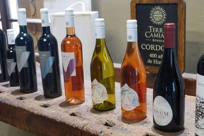 PRIVÉ TUR: Caroya WineTour Demi-journée