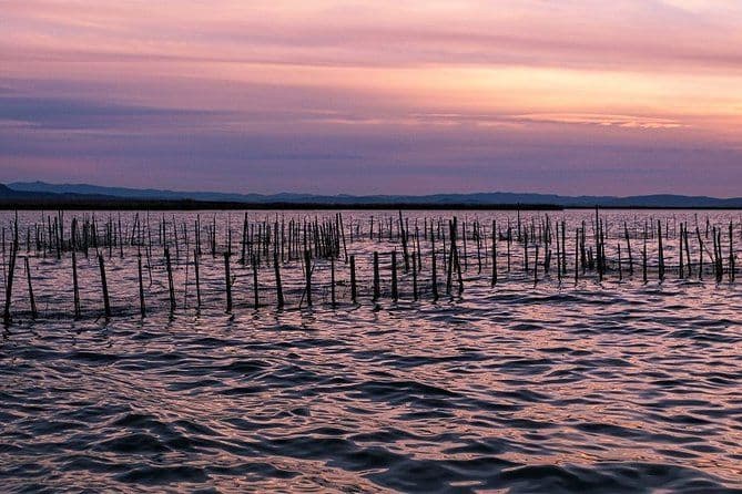 Albufera: lac, paella et observation des oiseaux