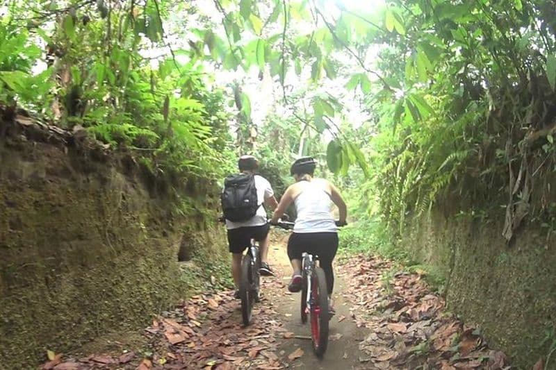Excursion à vélo de montagne et visite des cascades au départ de Lombok