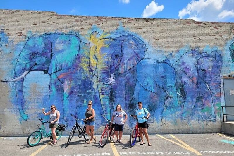 Location de vélos électriques à Dallas