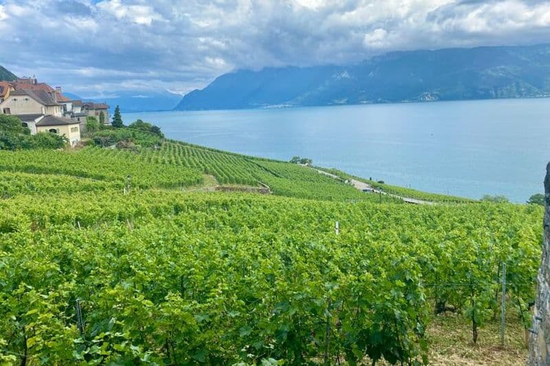 Visite privée de Zurich - Gruyères, fromage et vin UNESCO de Lavaux