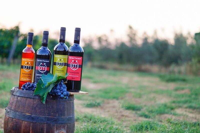 Expérience de dégustation de vin et d'huile