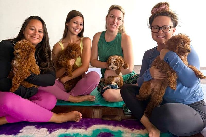 Groupes privés de yoga pour chiot