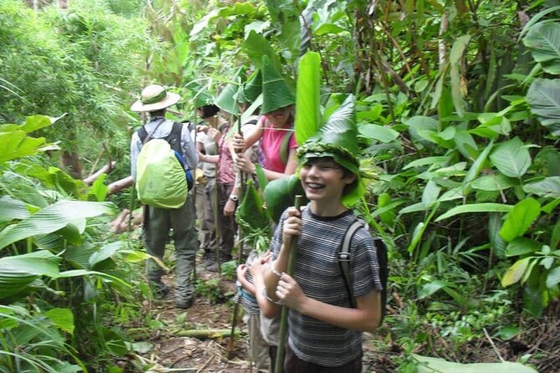 Journée complète de randonnée et de cuisine en bambou à Chiang Rai