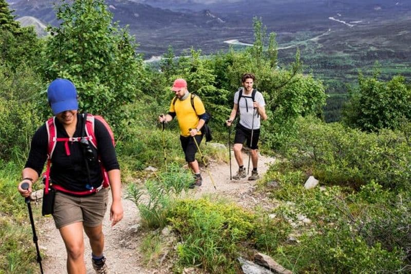 Randonnée d'une demi-journée dans les montagnes du Drakensberg