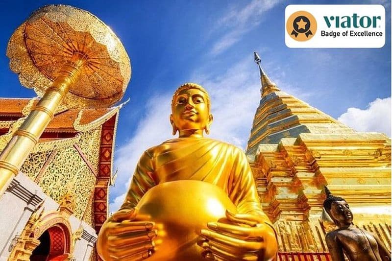 Les meilleurs points de vue de la visite de la ville Wat Doi Suthep, Wat Chedi Luang et Wat Pha Lat