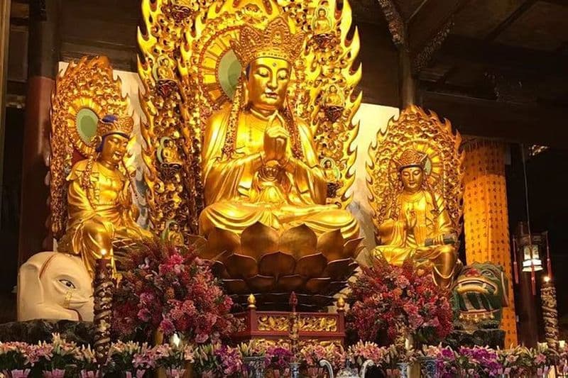 Visite privée de Shanghai de l'ancienne ville de Zhujiajiao, du zoo de Shanghai, du temple de Longhua