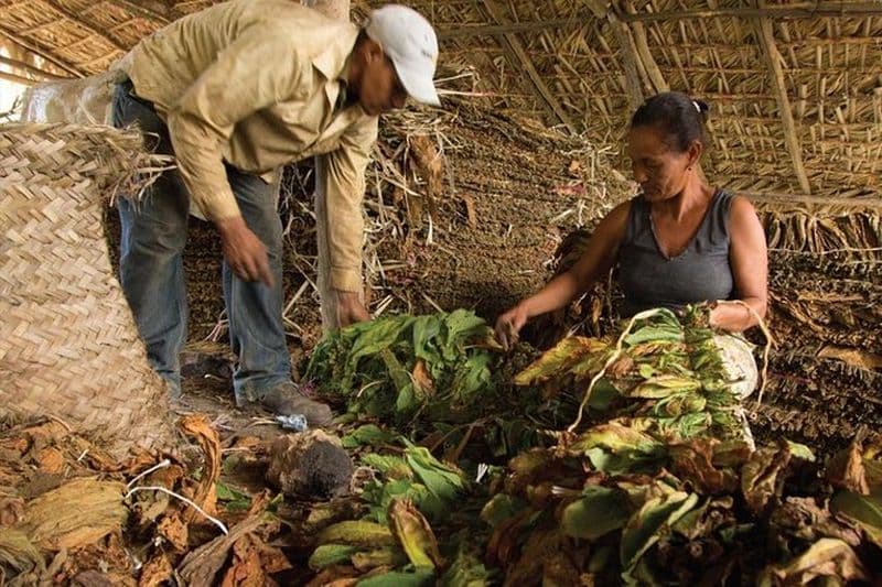 Higuey City Tour au départ de Punta Cana