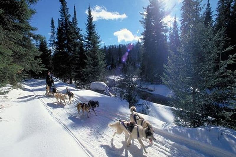 Algonquin en traîneau à chiens, ski et raquettes