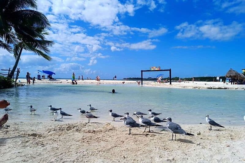 Excursion explorer la ville en vélo et repas atypique