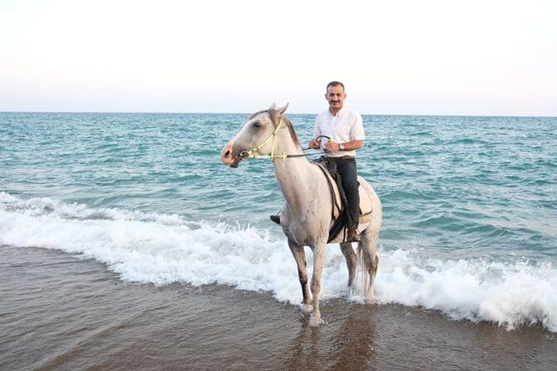 Balade à cheval sur la plage et à travers la forêt