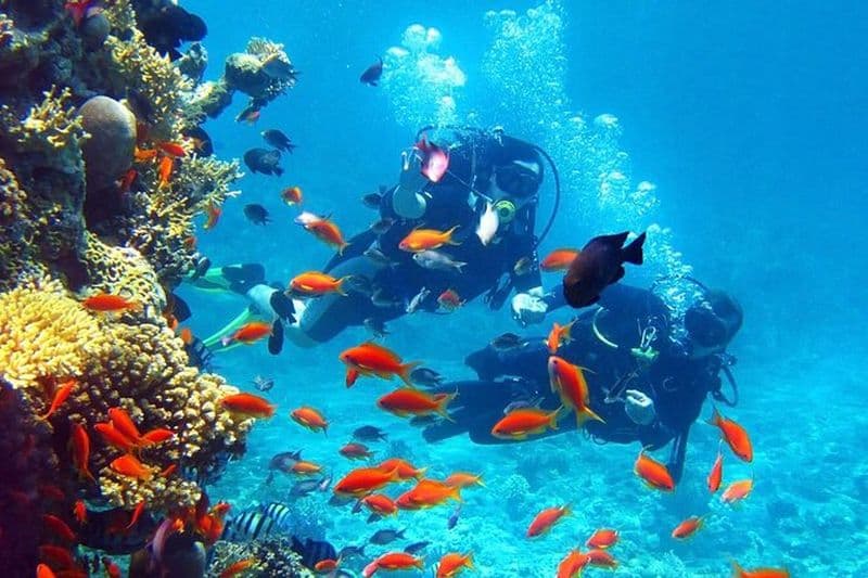 Plongée sous-marine Junior au village d'Agia Efimia dans l'île de Céphalonie