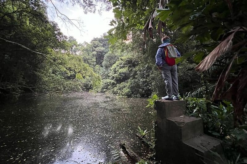 Randonnée guidée au bunker Seah Im, au mont Faber et à Henderson