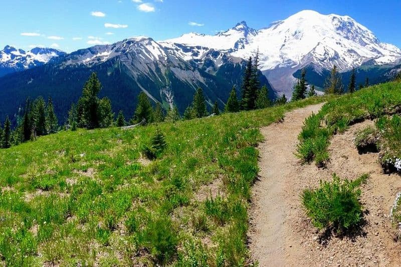 Randonnée au mont Rainier et dégustation de vin de la vallée de Yakima : excursion d'une journée tout compris au départ de Seattle