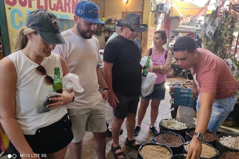 Safari Aventure de Demi-Journée depuis Punta Cana