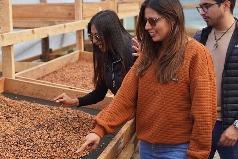 Visite d'une demi-journée dans une plantation de café + dégustation de café
