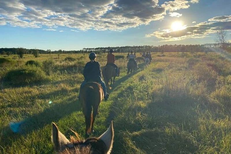 Promenade à cheval sur les sentiers pittoresques du lac Louisa