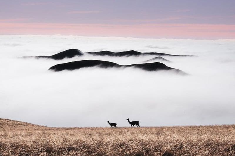 Safari photo privé en 4x4 dans les Andes - Villavicencio