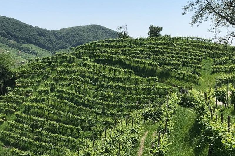 Billet Chauffeur de prosecco pour monter et descendre les collines Patrimoine mondial de l'UNESCO