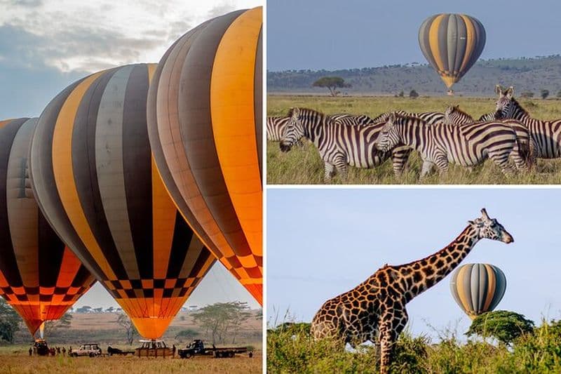 Safari en montgolfière et petit déjeuner dans le Serengeti - Miracle Experience
