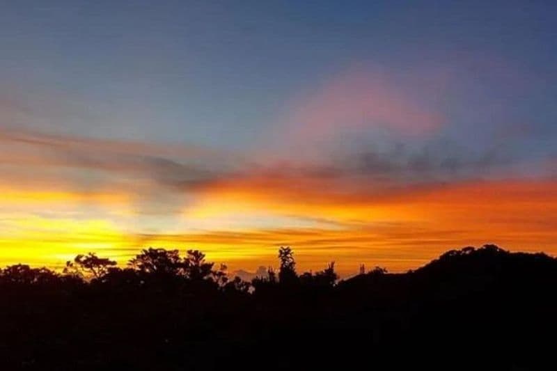Randonnée panoramique dans les montagnes Bleues au départ de Kingston