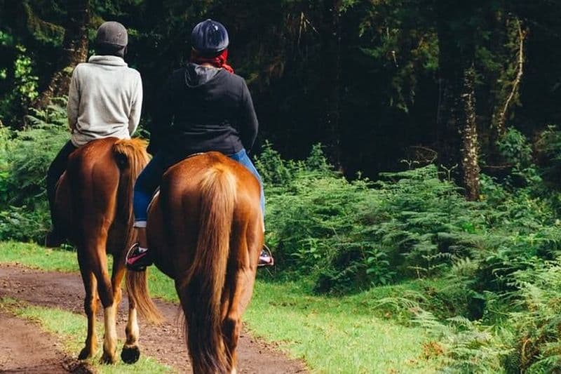 Tyrolienne à Kereita, Hellsgate Aventure à travers le lac Naivasha