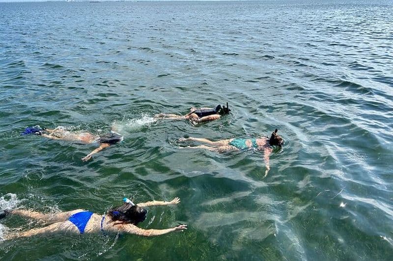 Excursion de plongée en apnée de 3 heures sur l'île de South Padre