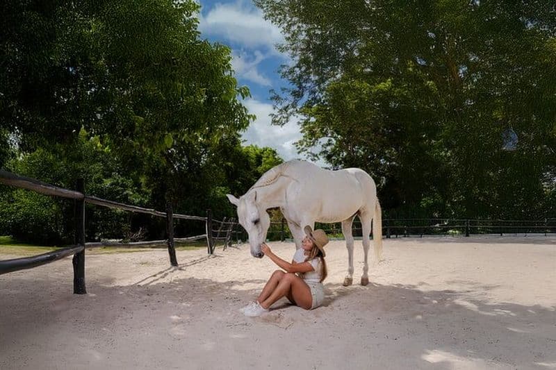 Balade à cheval et baignade dans les cénotes de Cancún ou de Playa del Carmen