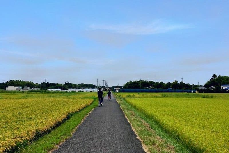 Randonnée à vélo en milieu rural au Japon dans la riche région naturelle d'Ichinomiya