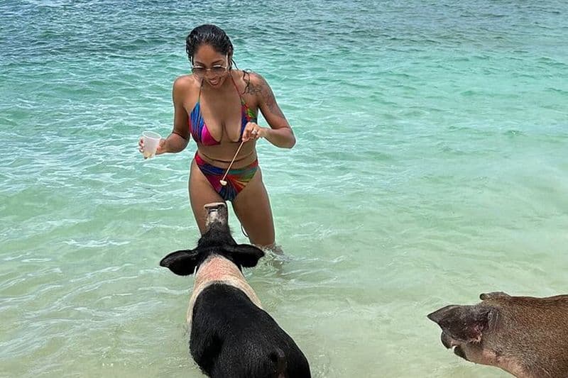 Croisière de luxe en catamaran : Sirotez, naviguez, plongez et nagez avec des cochons !