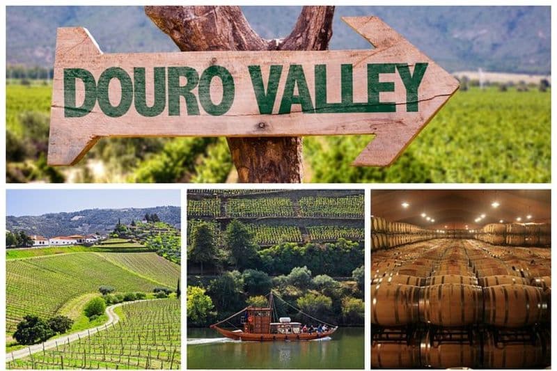 Visite de la vallée du Douro : Dégustation de vins, croisière et déjeuner au départ de Porto