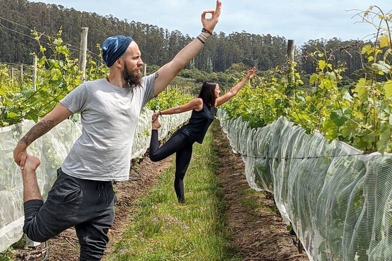 Yoga dans les vignes et Brunch