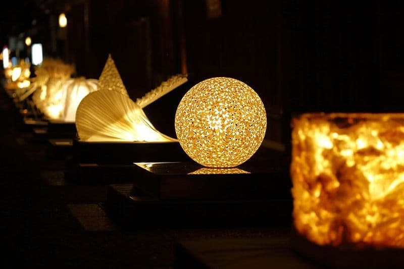 Croisière d'automne et festival Mino Lights Excursion en bus d'une journée au départ de Nagoya