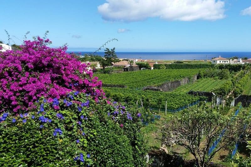 Visite privée des vins et des lacs de Sete Cidades