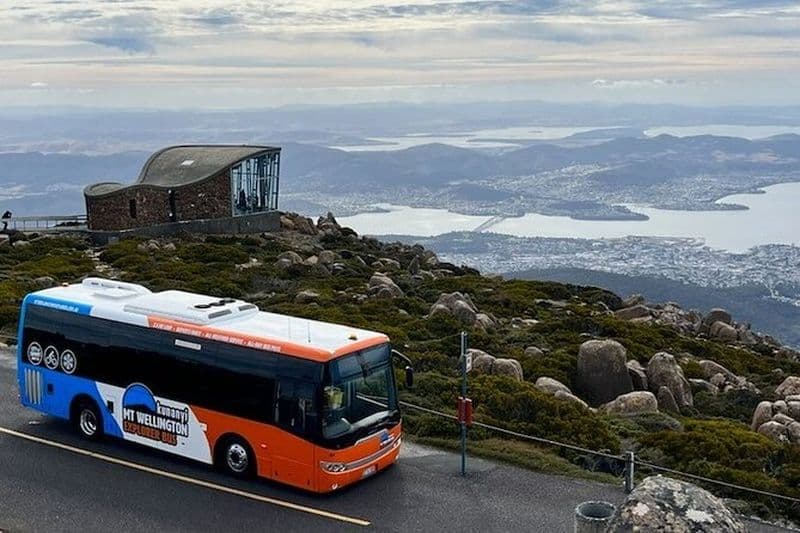 kunanyi/Mt Wellington Explorer Bus - Visite aller-retour (2,5 heures)