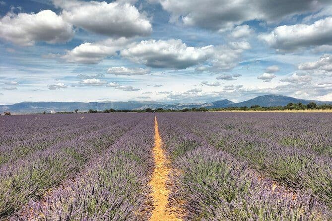Gorges du Verdon : Lavandes, Canyon Boat Picnic & Villages