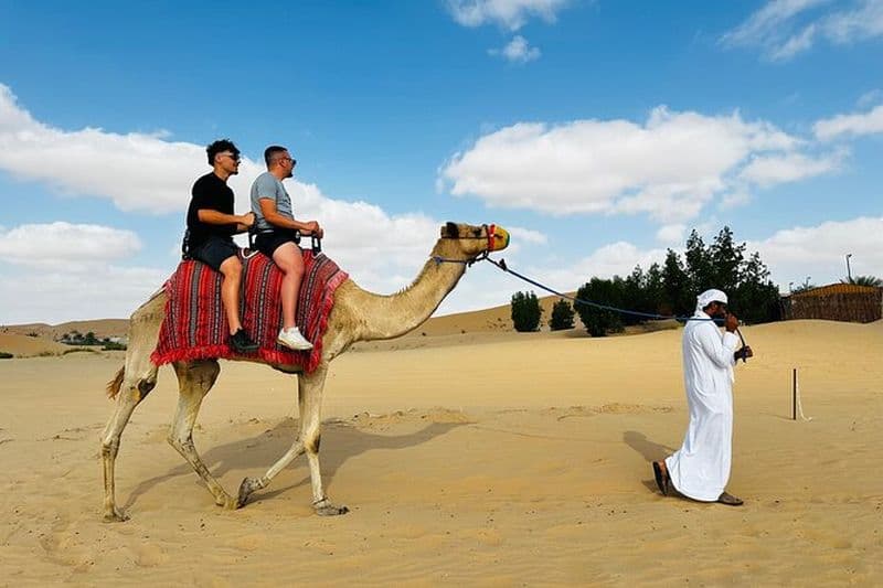 Abu Dhabi: Expérience privée de randonnée à dos de chameau