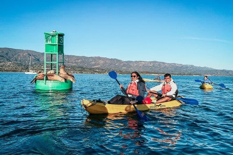 Excursion en kayak dans le port de Santa Barbara (2 heures)