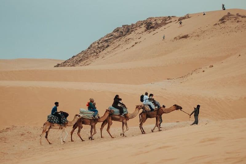Excursion dans le désert d'Agadir : Quad, planche à sable, balade à dos de chameau + Photographie
