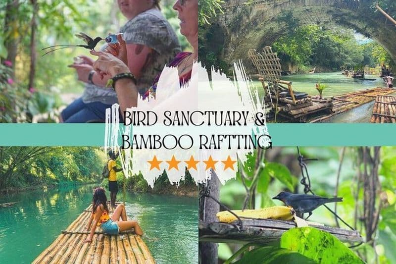 Sanctuaire d'oiseaux et/ou rafting en bambou Lethe depuis Montego Bay