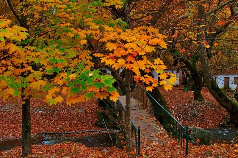 Athènes à Kalavryta Rack Monastère ferroviaire et dégustation de vin
