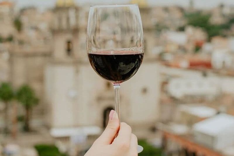 Visite privée à Jalostotitlán et au vignoble Cerca Blanca