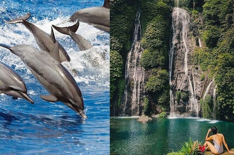 Bali Nager avec les dauphins et regarder le lever du soleil, cascade de Gitgit