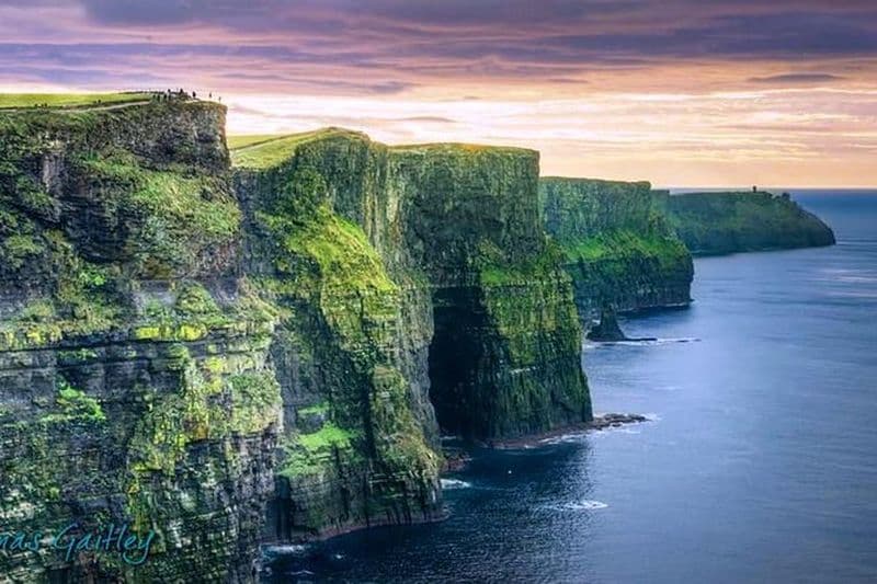 Île d'Aran, falaises de Moher et croisière au départ de Galway. Guidé.