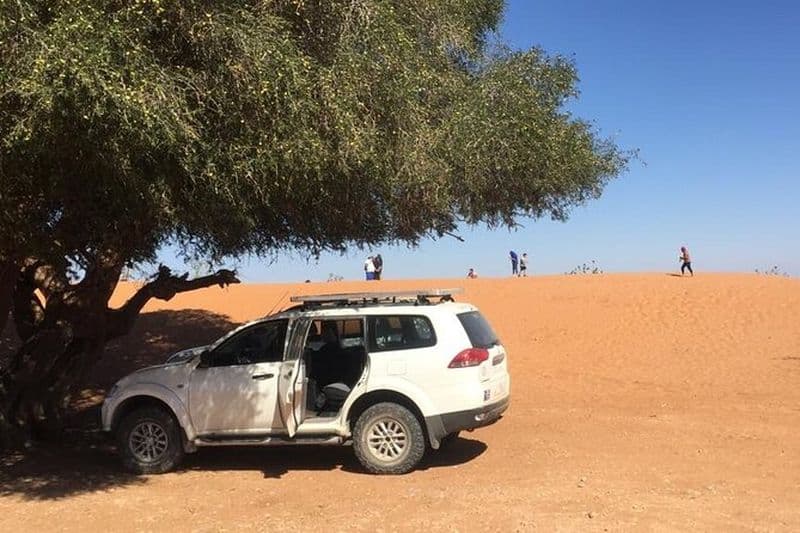 Excursion d'une Journée d’Agadir à Massa en 4X4