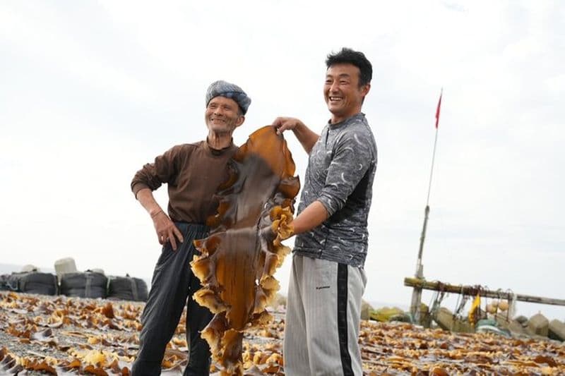 Expérience de la pêche au varech Culture alimentaire traditionnelle Japonaise