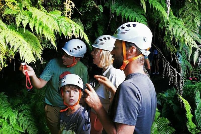 Points forts de l'île de Pico - Visite privée (+ dégustation de vin en option)