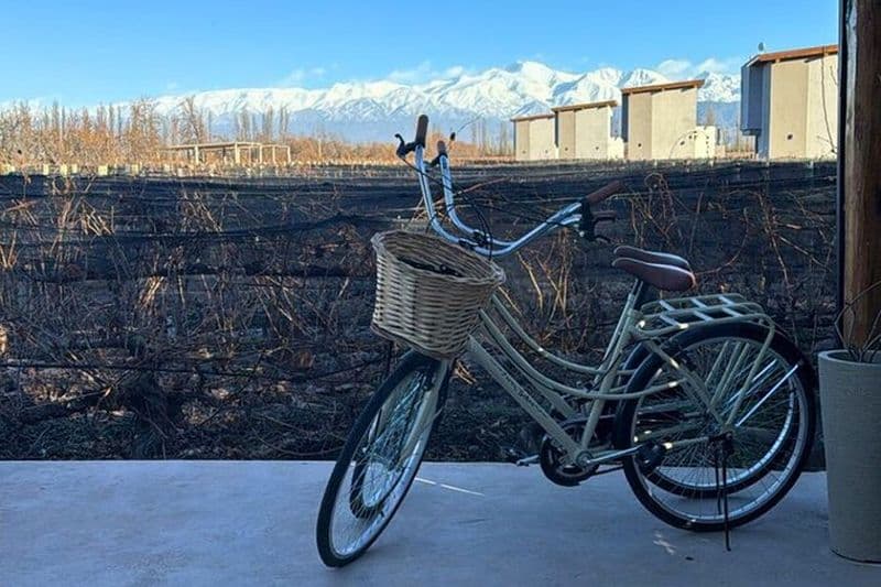 Visite privée à vélo de Lujan de Cuyo