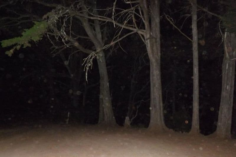Visite à pied de la route de la nuit de la peur