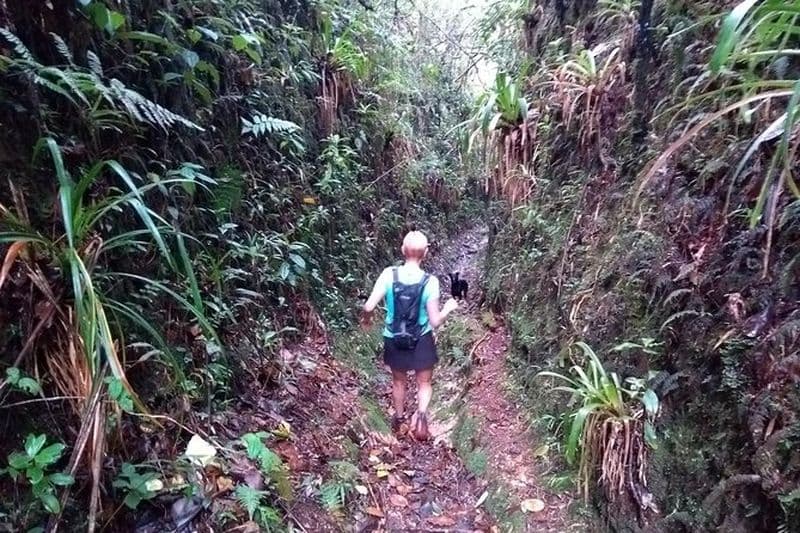 Randonnée Montagnes et Forêts Magiques